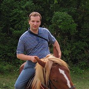 Фотография "Конные прогулки в станице Шапсугская Краснодарского края"