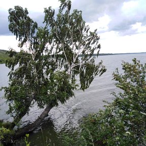 Фотография от Елена Прокопьева