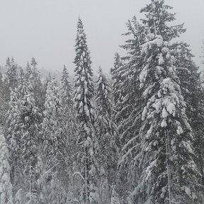 Фотография от Ольга Нестерова