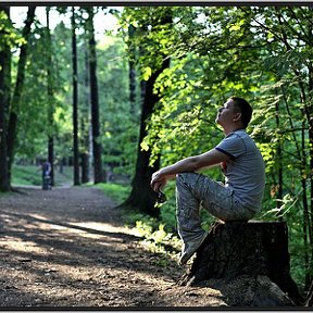 Фотография "там на неведомых дорожках)"