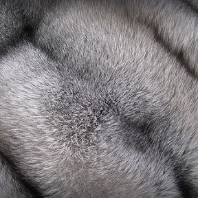 Фотография от Royal Furs