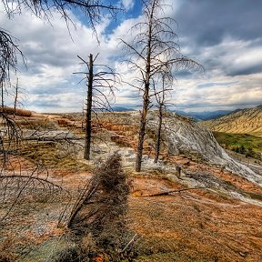 Фотография от Георгий Рыжов