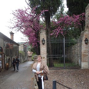 Фотография "Италия апрель 2014 Аркуа-Петрарка"