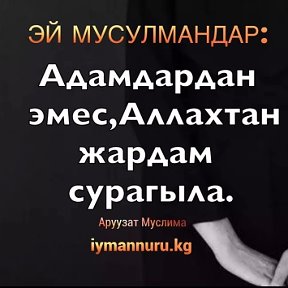 Фотография от Омурбек Рыскулов