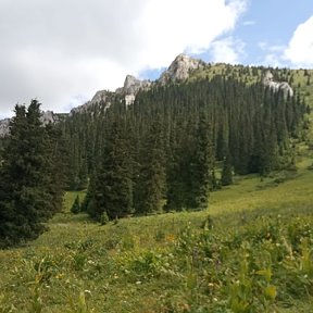 Фотография от Наталья Яненко