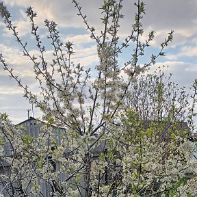 Фотография от Надежда Богатырёва(Минкина)