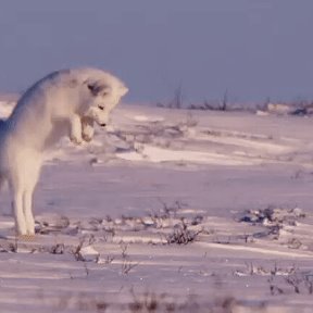 Фотография от Александр Боровлёв