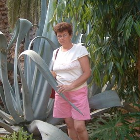 Фотография "Gran Canaria 2006"