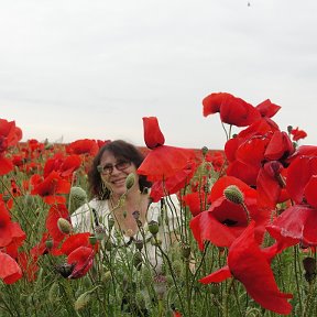 Фотография "-Цель моего нахождения на МАКОВОМ поле???  Приуныла я ЧЁТА.... Не ехать-же мне .....в ГОЛЛАНДИЮ.....:):):)"