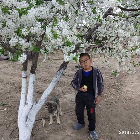 Фотография от Абдунаби Рустамов