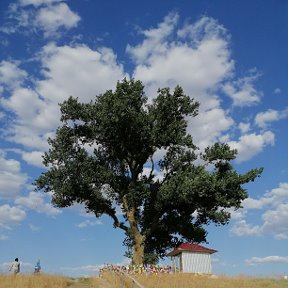 Фотография от Анатолий Мантусов