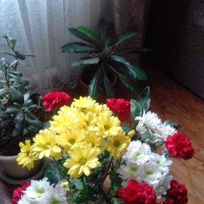 Фотография "Букет любимых цветов от сына!"