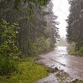 Фотография от Жала Гусейнова