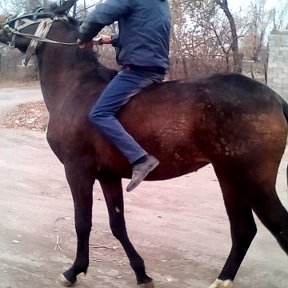 Фотография от Николай Алексеев