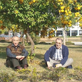 Фотография "Я (слева) и проф. А. Кавокин под апельсиновыми деревьями в GIK, Пакистан. "