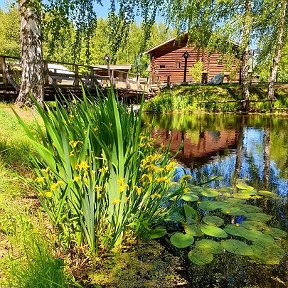 Фотография от Наталия Смирнова