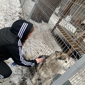 Фотография от Ксения Городилова