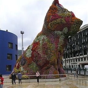 Фотография "Бильбао ( Испания), собака выложена из  живых цветов"