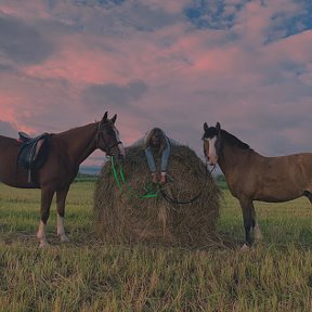 Фотография от Конные Прогулки