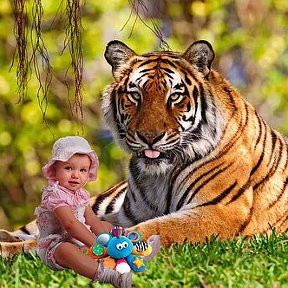 Фотография от Big Tiger - Мир скидок