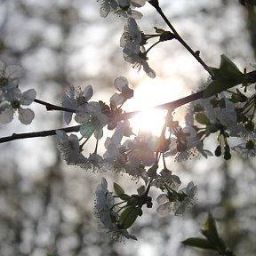 Фотография от Инна Овчарова