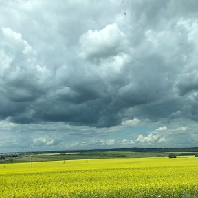 Фотография от Нурия 🇷🇺🇺🇿