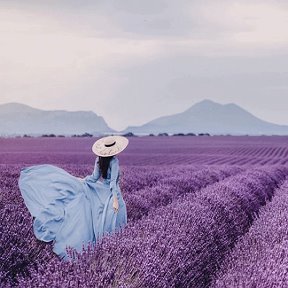 Фотография от Виолета и Михаил Брынза