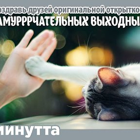 Фотография "Хочешь поздравить друзей красивой открыткой? Заходи к нам! http://www.odnoklassniki.ru/app/minutta"