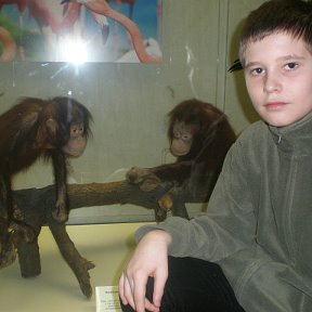 Фотография "две обезьянки"