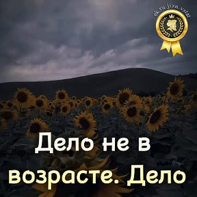 Фотография от Андрей Щулепов