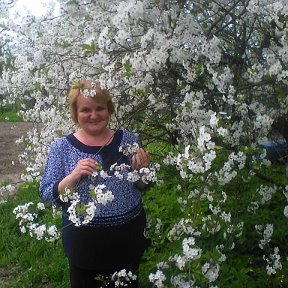 Фотография от Лариса Бойкова (Пеньковая)