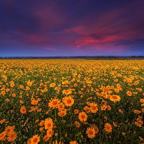 Фотография от Наталья Губенко