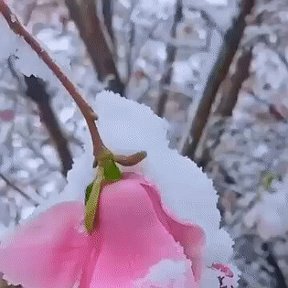 Фотография от Валентина Баранова