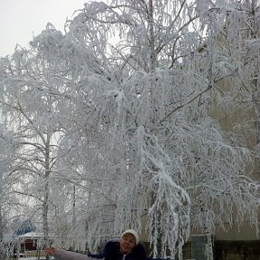 Фотография "Первый день зимы 01.12.2016"