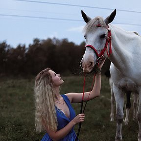 Фотография от Центр Иппо и Верховой езды САПФИР