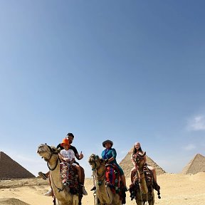 Фотография "К поездке на пирамиды наш отряд готов"