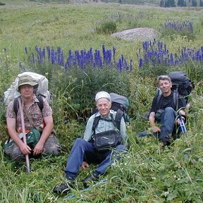 Фотография "Я, Александр и Сергей рядом с зарослями Аконита джунгарского (= Иссык-Кульского корня, очень ядовитое растение) в августе 2004 г."