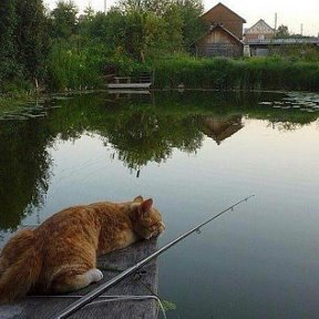 Фотография от валентин валентинов