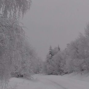 Фотография от Олеся Якушева (Сазаева)