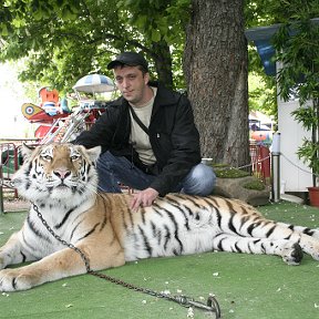 Фотография от Александр Никитин