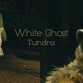 Фотография от Ледяная Охотница -White Ghost---Atragon-