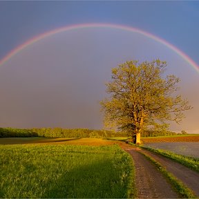 Фотография от Raduga Solnuschka