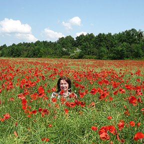 Фотография "Літо!"