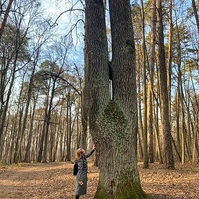 Фотография "Полотняный завод, имение Натальи Гончаровой."