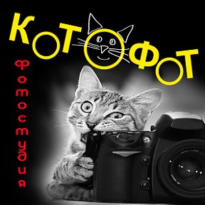 Фотография от Фотостудия Котофот