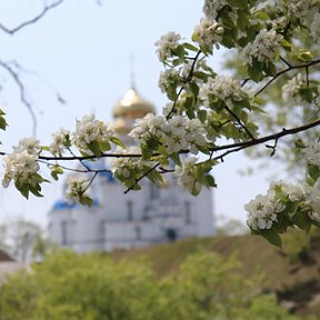 Фотография от Ольга Ольга