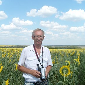 Фотография от Анатолий Новожилов