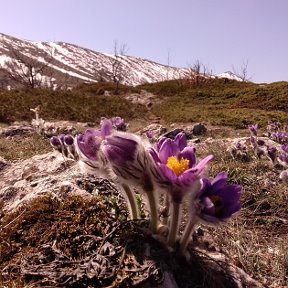 Фотография от Апарина Жанна