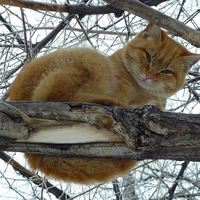 Фотография от Илья Говоров