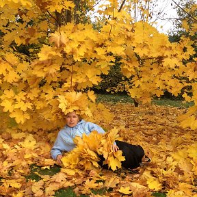 Фотография "" унылая пора, очей очарованье...""